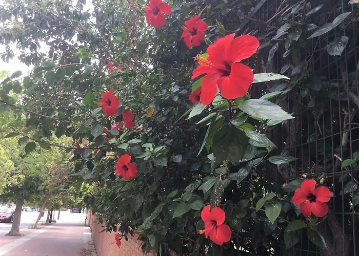 Apartment Apartamentо Menorcа менорка *