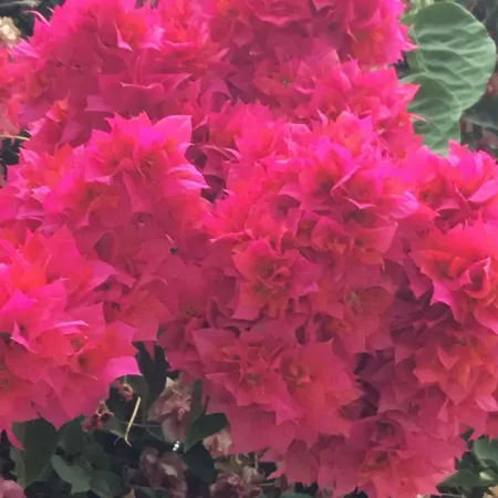 Apartamentо Menorcа менорка アパート