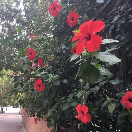 Διαμέρισμα Apartamentо Menorcа менорка *